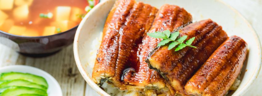 精のつく食べ物はうなぎ