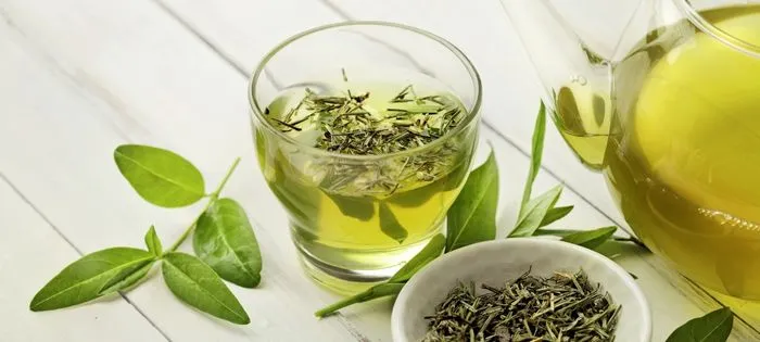 抗酸化物質が多い食品：緑茶