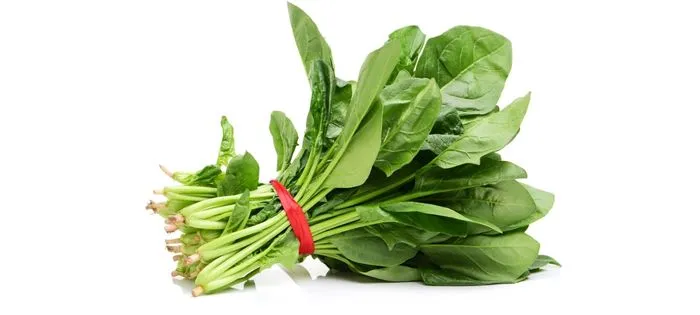 睡眠の質を上げる食材:ほうれん草