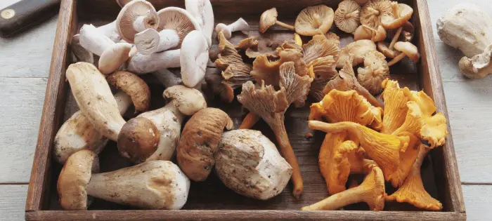 腸にいい食べ物ベスト10選：キムチ