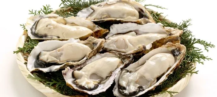 亜鉛の食べ物ランキング：魚介類牡蠣