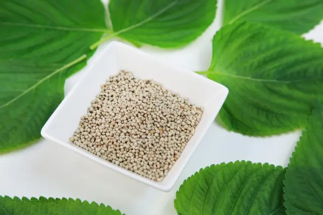 オメガ3が多い食品：えごま（乾）