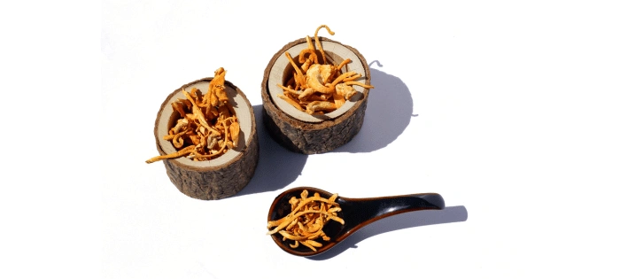 サナギタケの効果