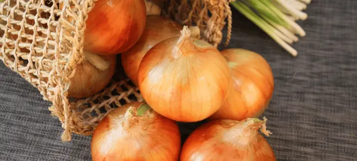 玉ねぎ