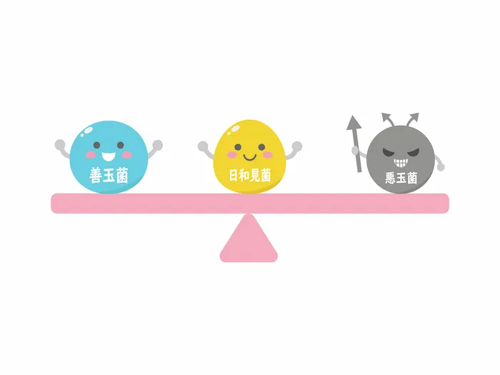 善玉菌と悪玉菌と日和り菌