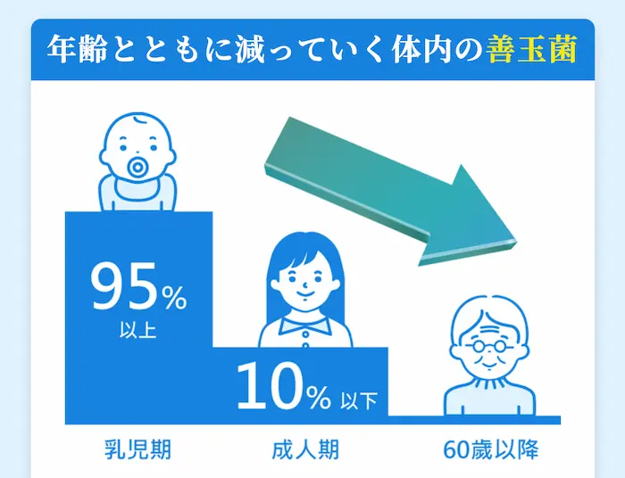 ビフィズス菌の占有率は加齢とともに低下