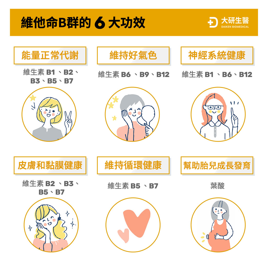 b群6大功效