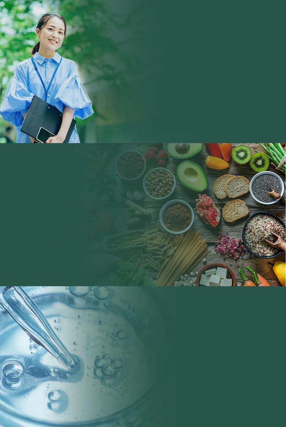 大研植萃系列概念