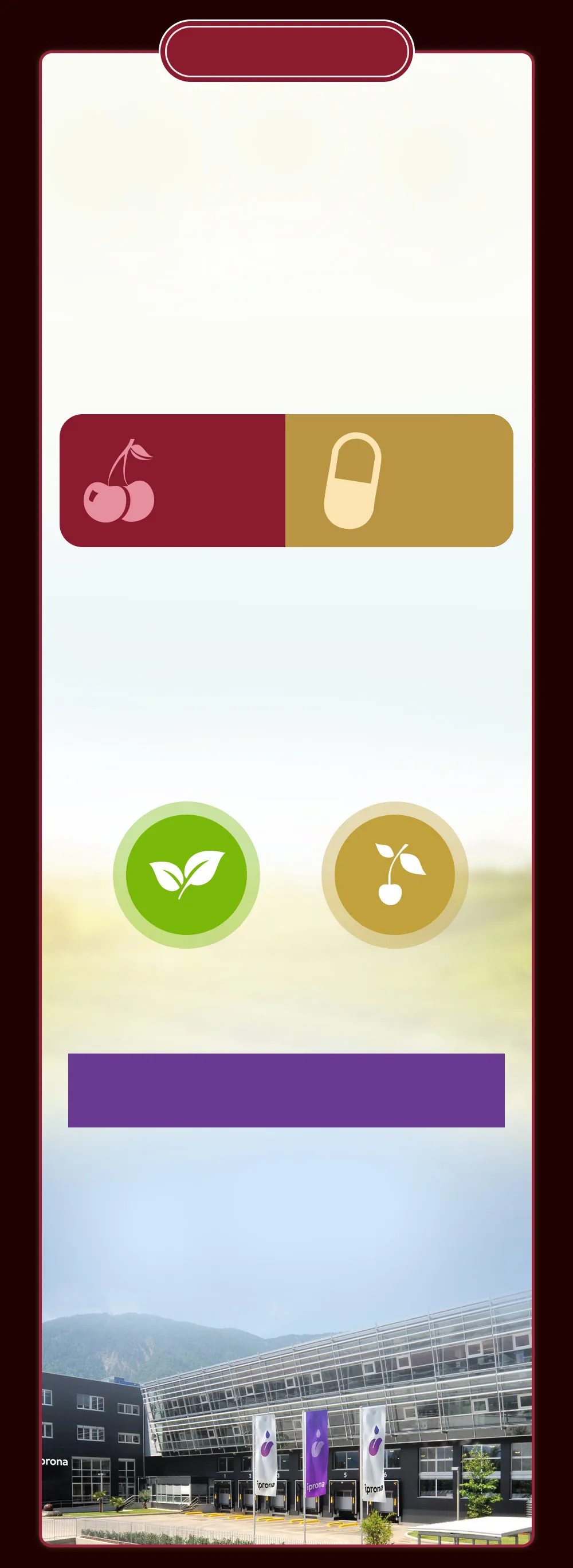 舒緩化風 義大利酸櫻桃