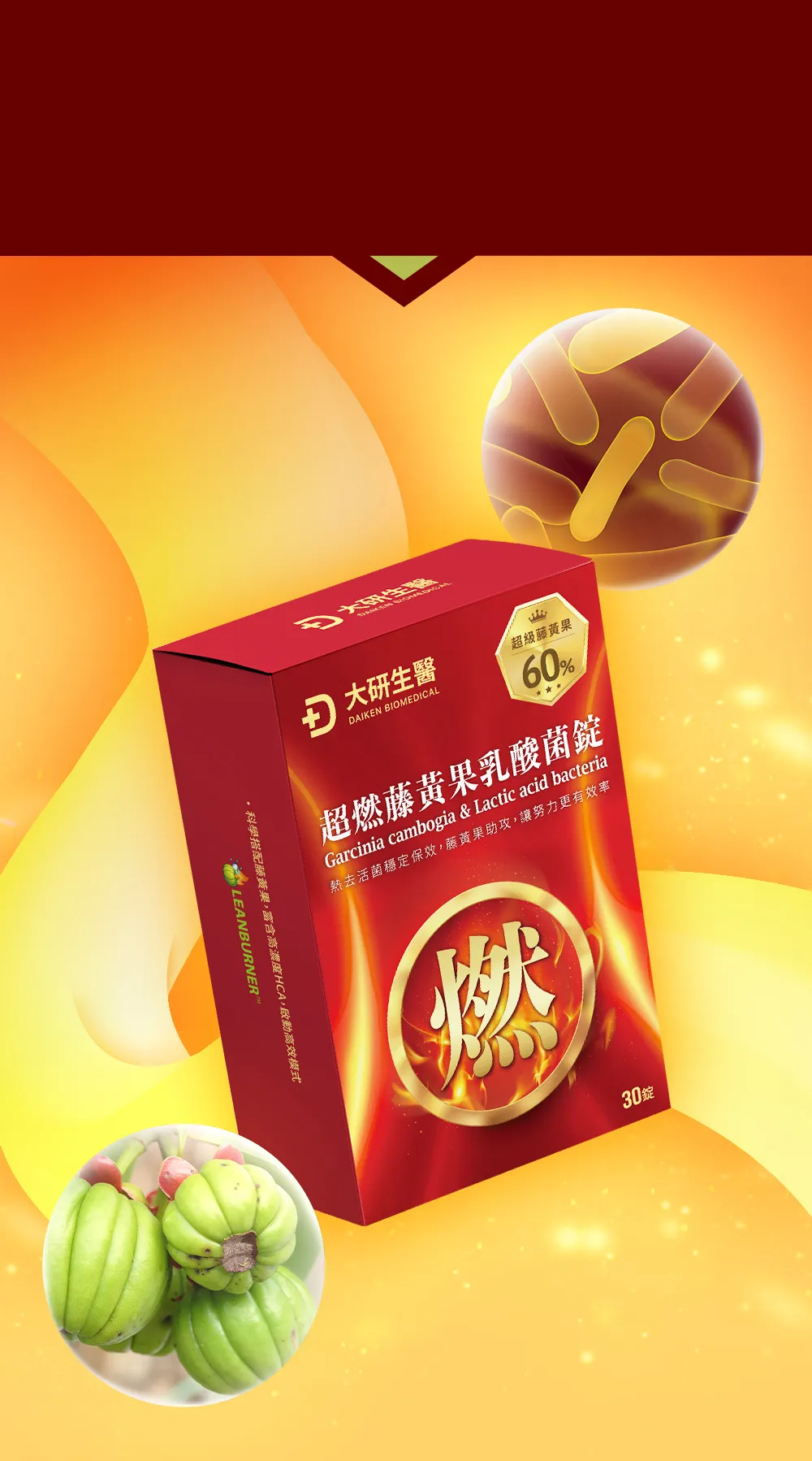 300億西班牙乳酸菌+60%超級藤黃果