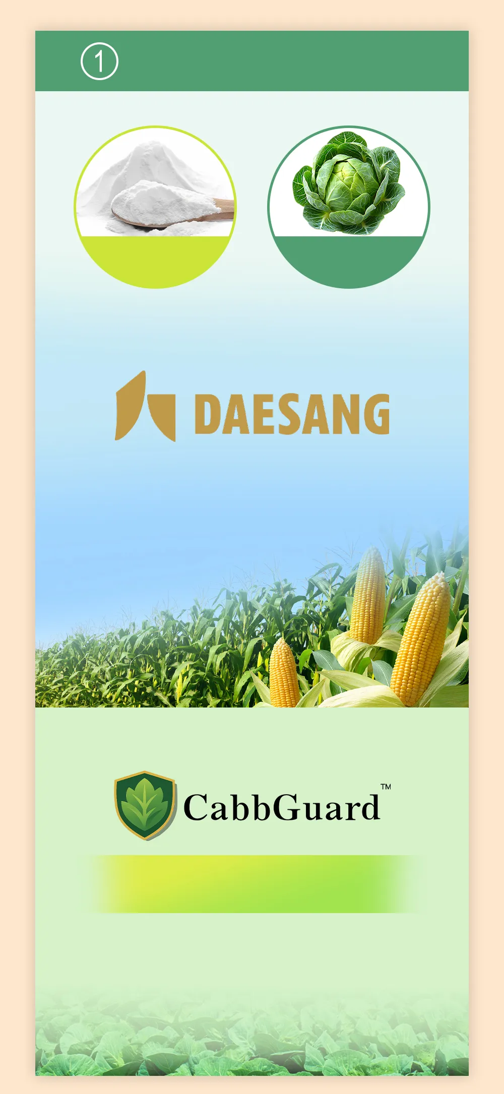 補漏、滋養雙效顧胃