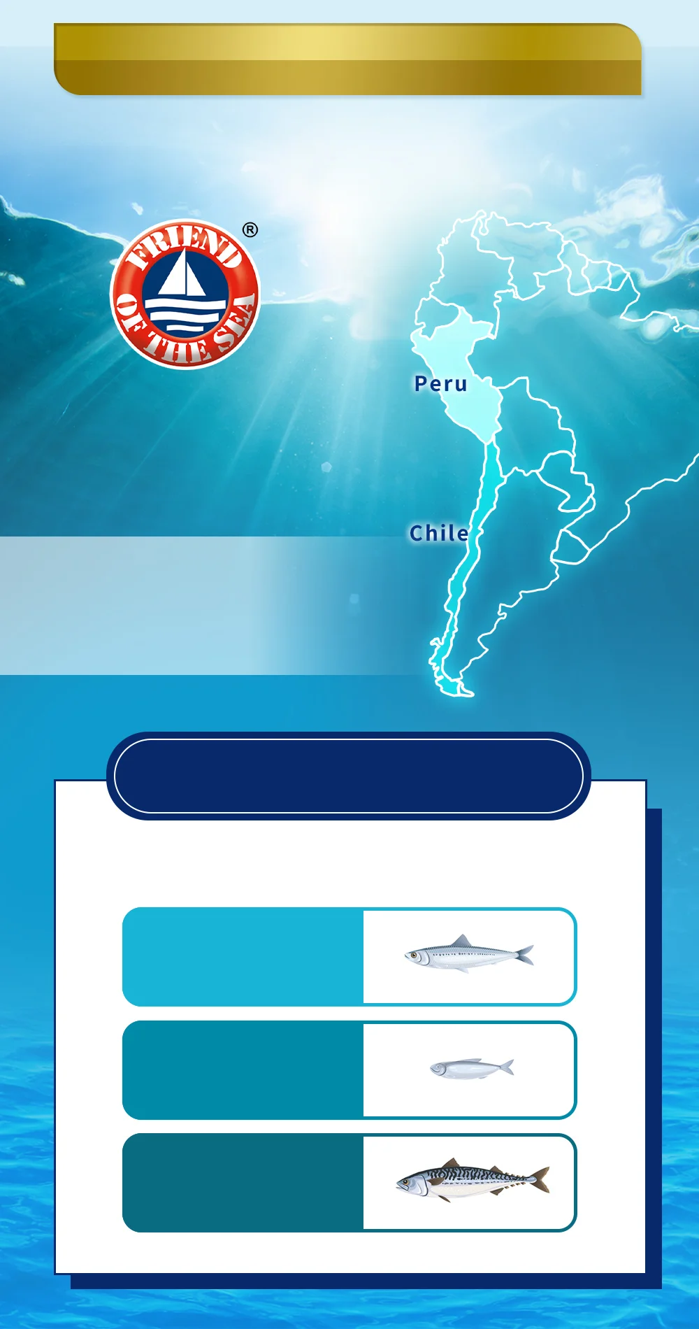 嚴選無污染的深海小型魚