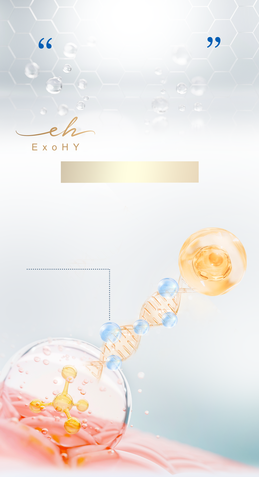 高親膚性外泌體