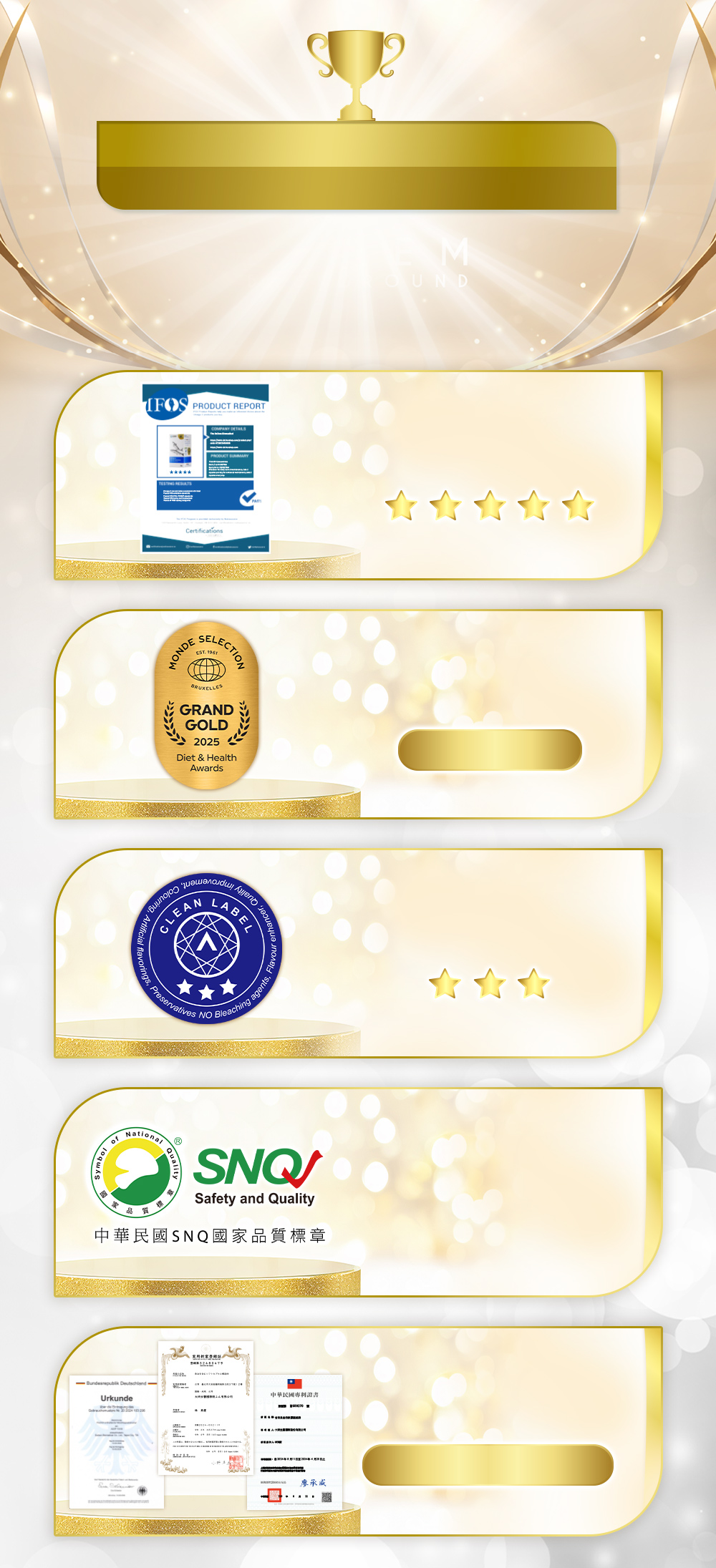 橫掃國際榮耀巔峰