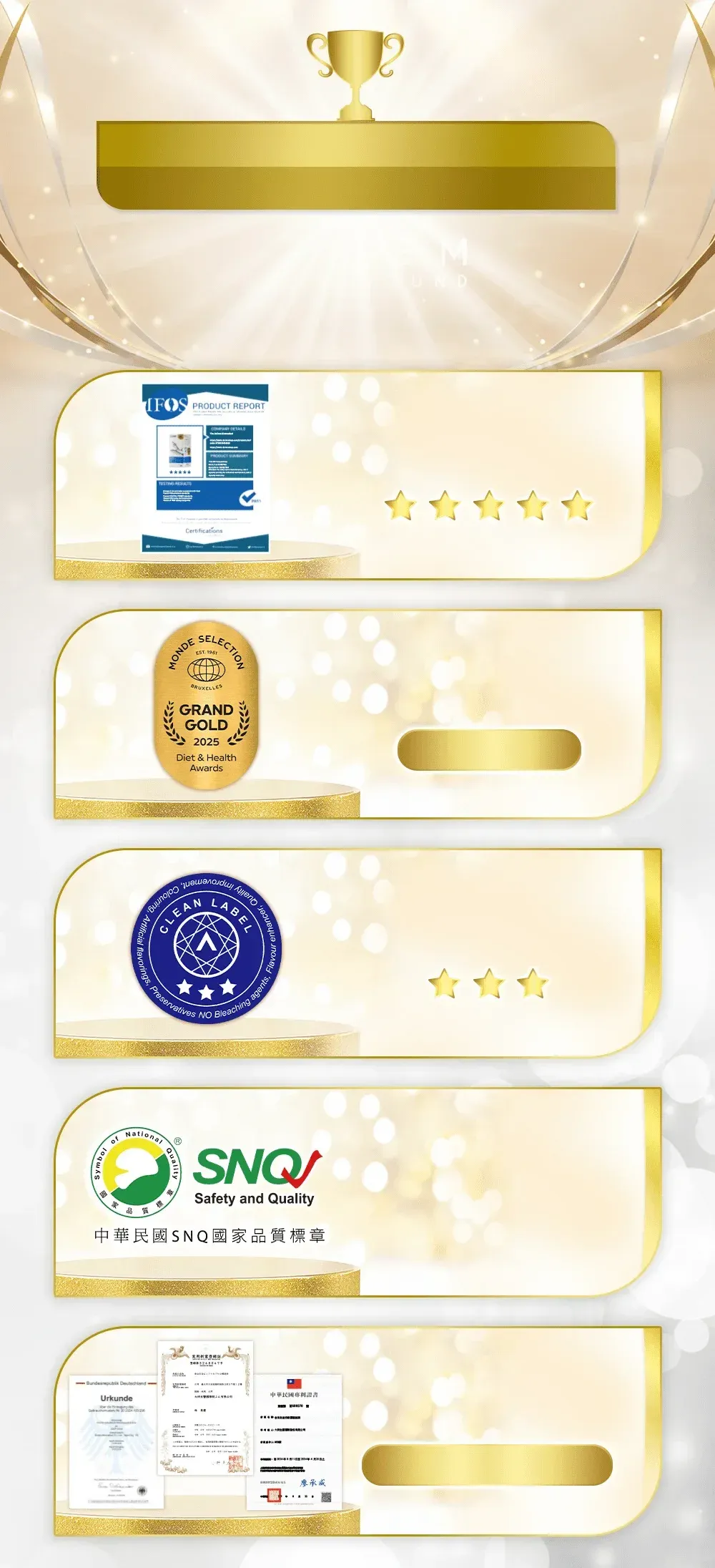 橫掃國際榮耀巔峰