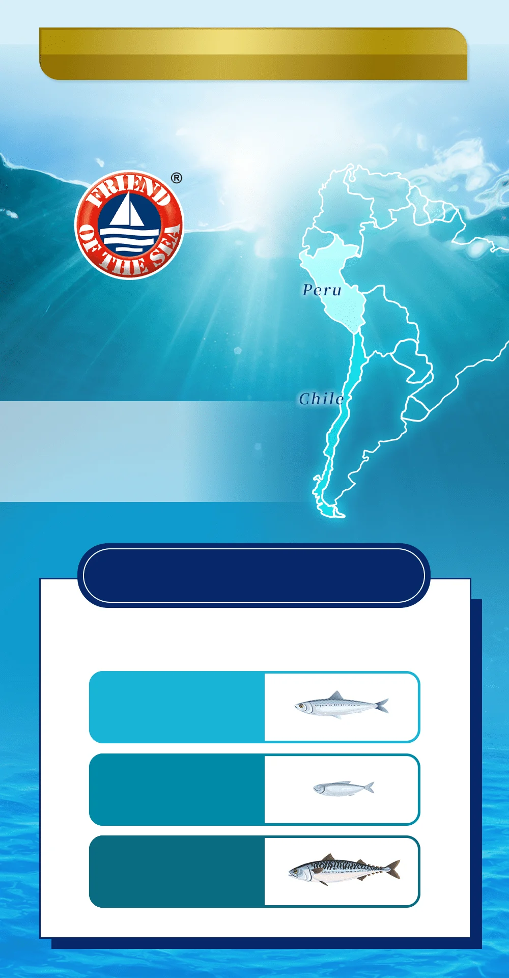 來自智利和秘魯的潔淨海域，嚴選無污染的深海小型魚