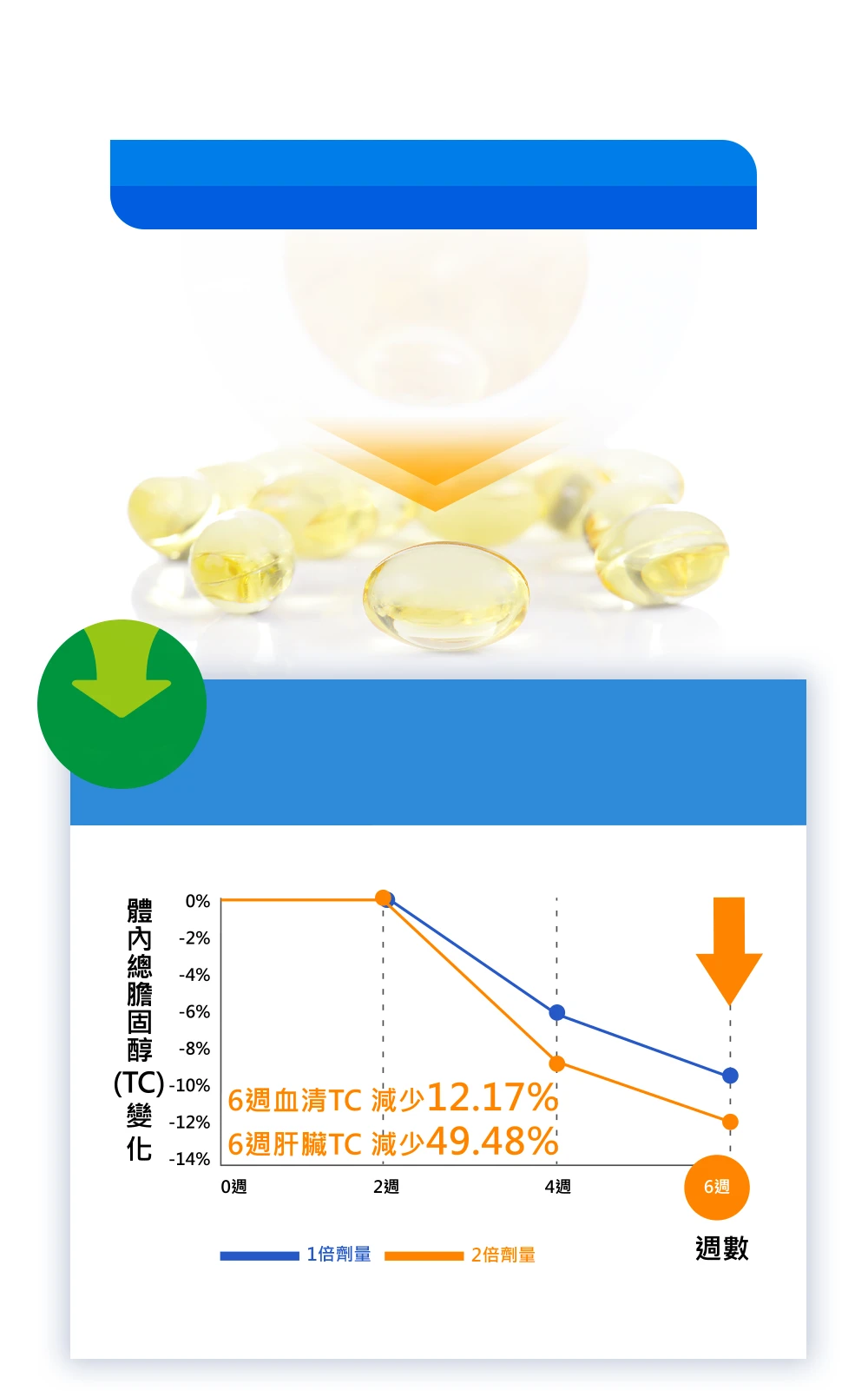 體內總膽固醇(TC)變化