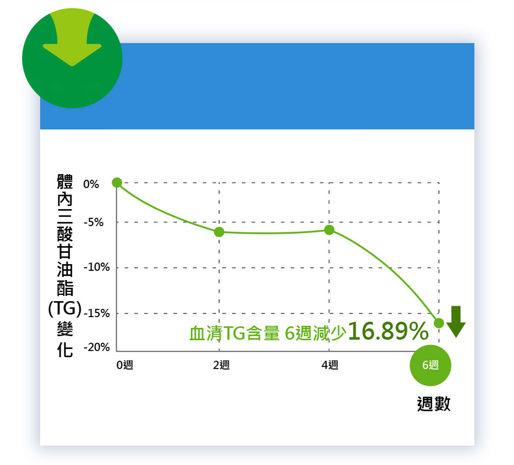 體內三酸甘油酯(TG)變化