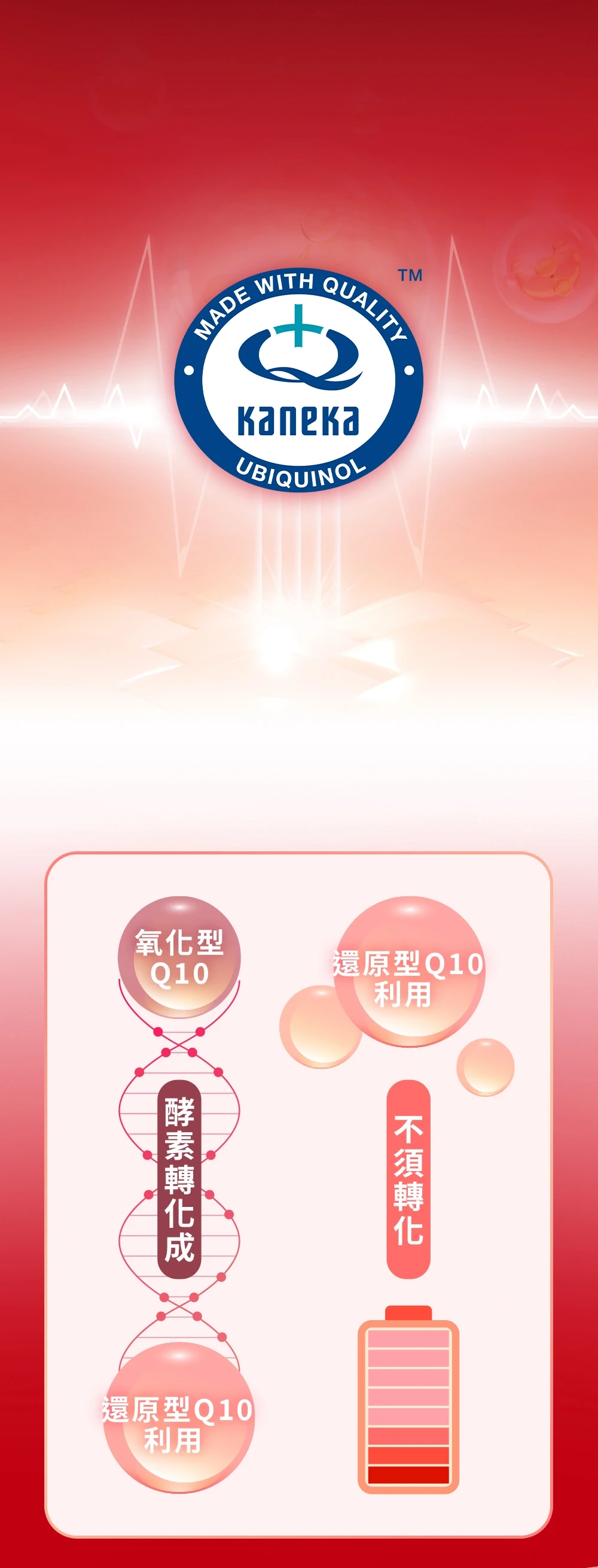 全球唯一還原型Q10