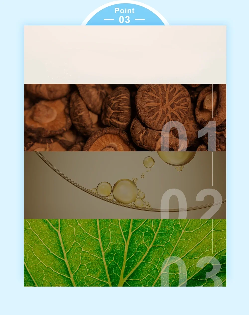 添加3大脂溶性維生素