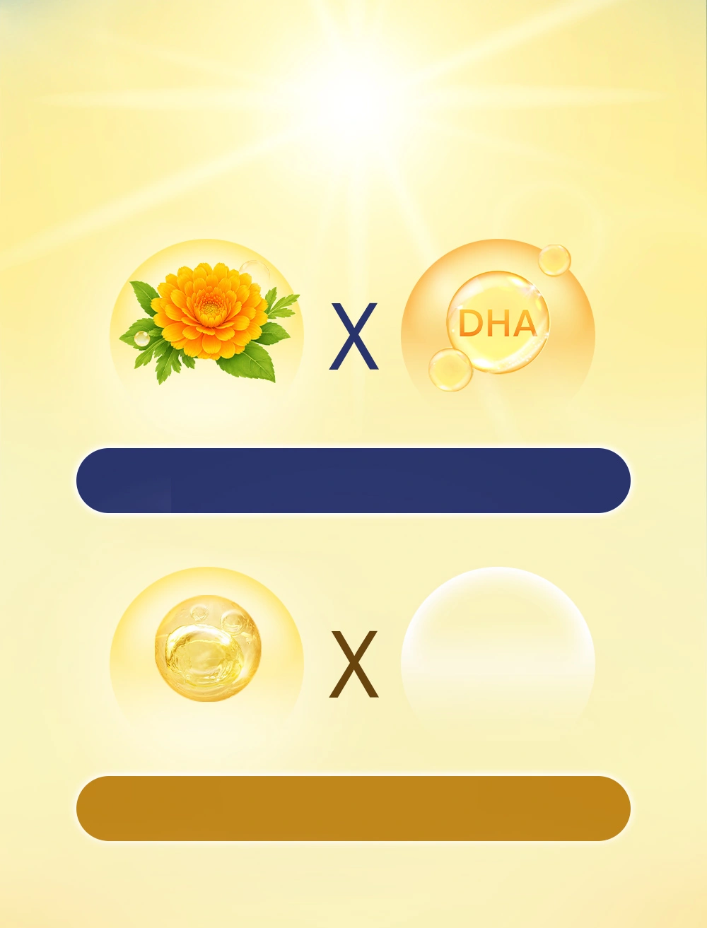 1+1>2，舒潤再放大
