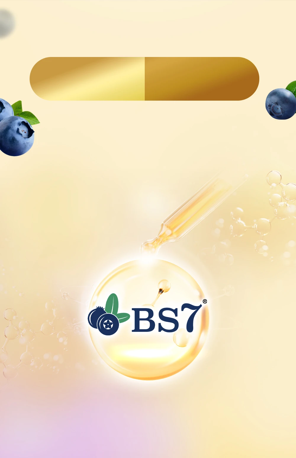 BS7® 山桑子