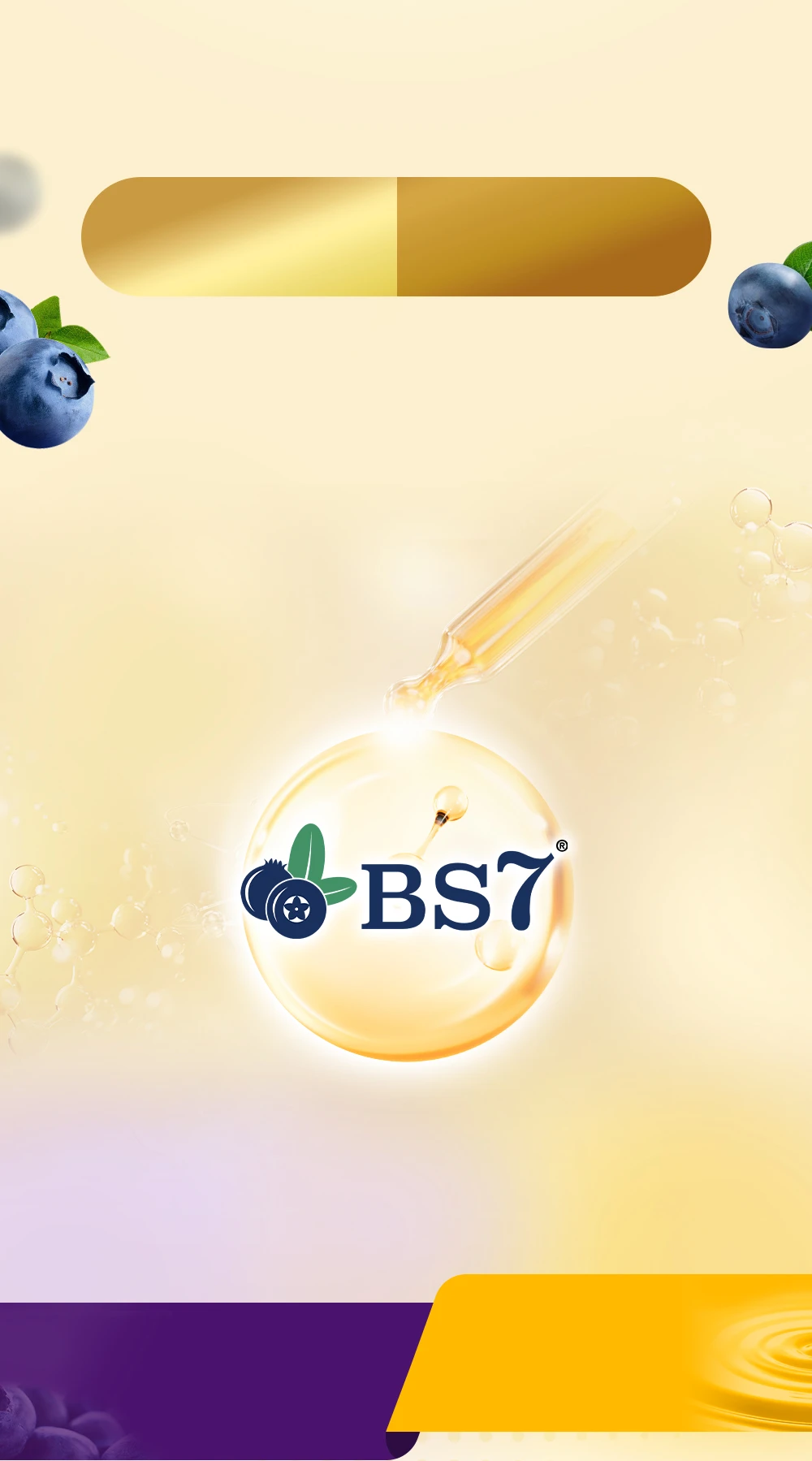 四倍BS7®山桑子