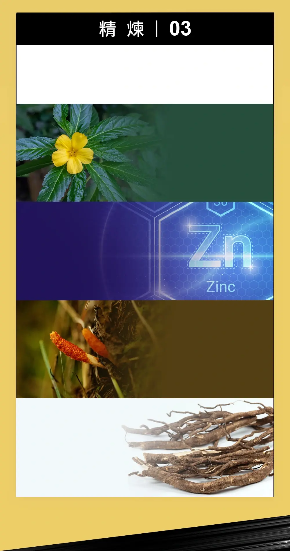 6大精華配方-透納葉、葡萄糖酸鋅、蛹蟲草子實體、西伯利亞人蔘刺五加