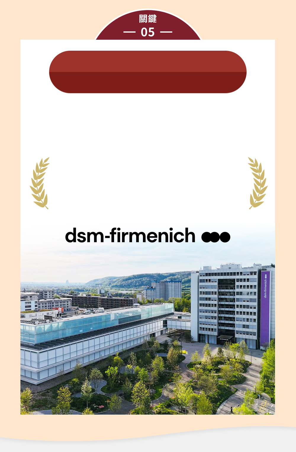 德國頂級維生素B1