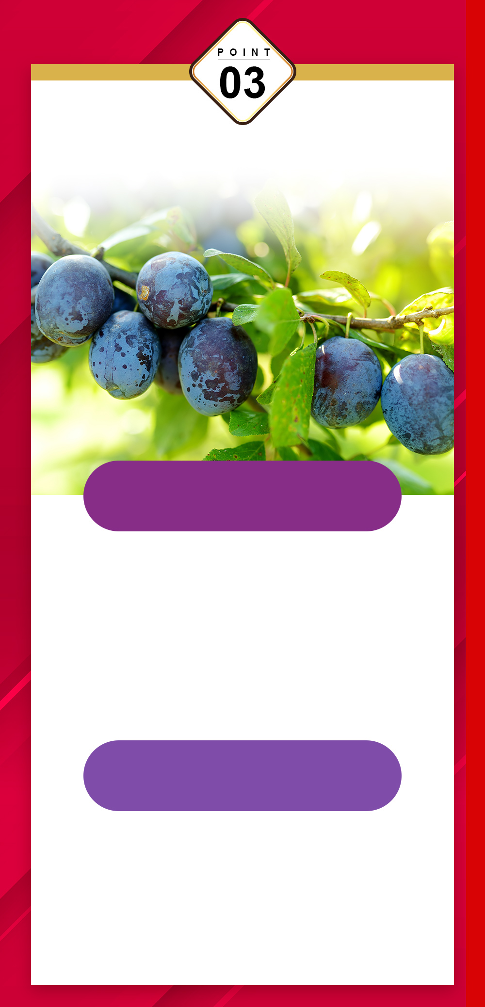 黑棗補鐵精華飲