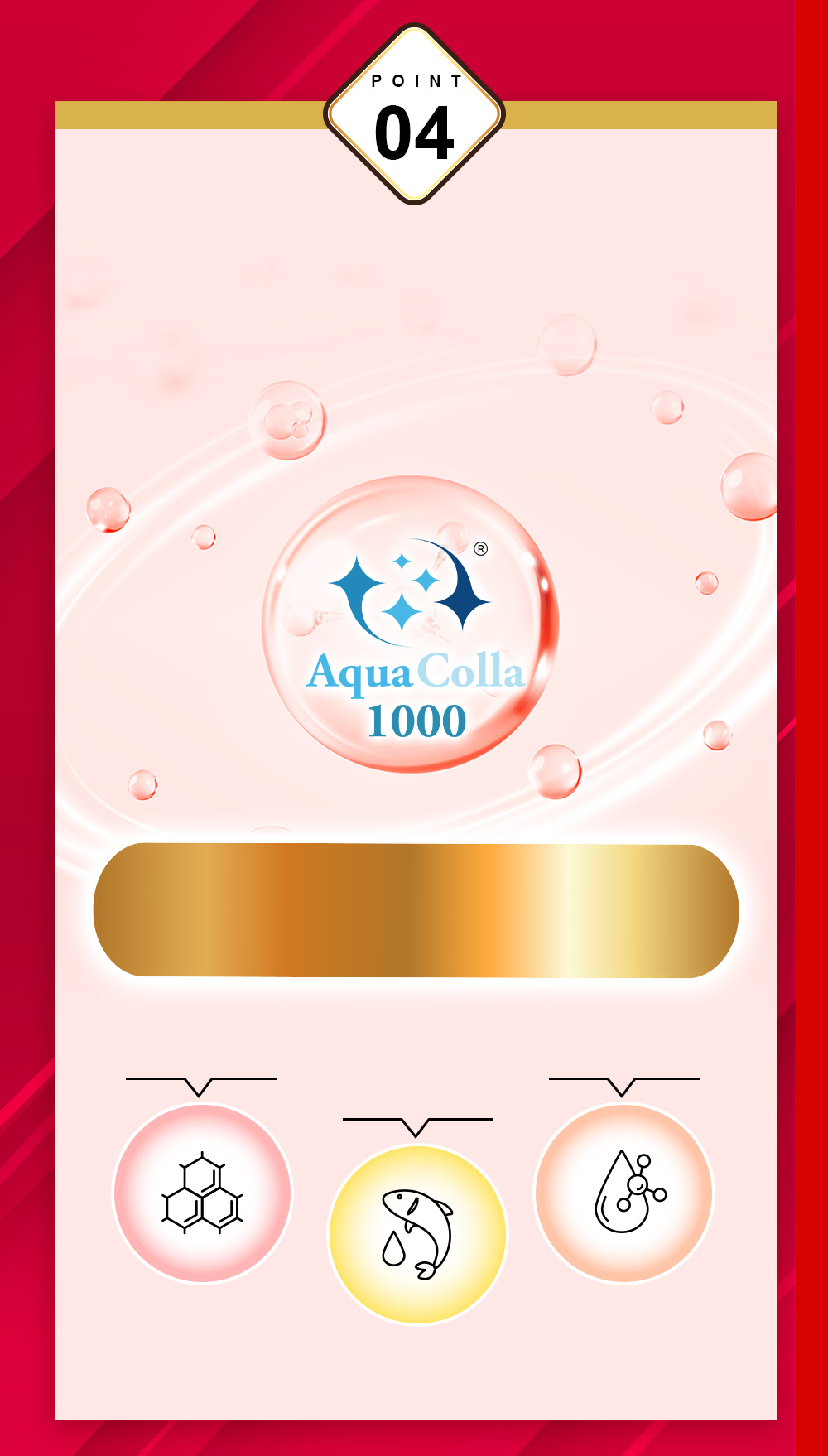 黑棗補鐵精華飲