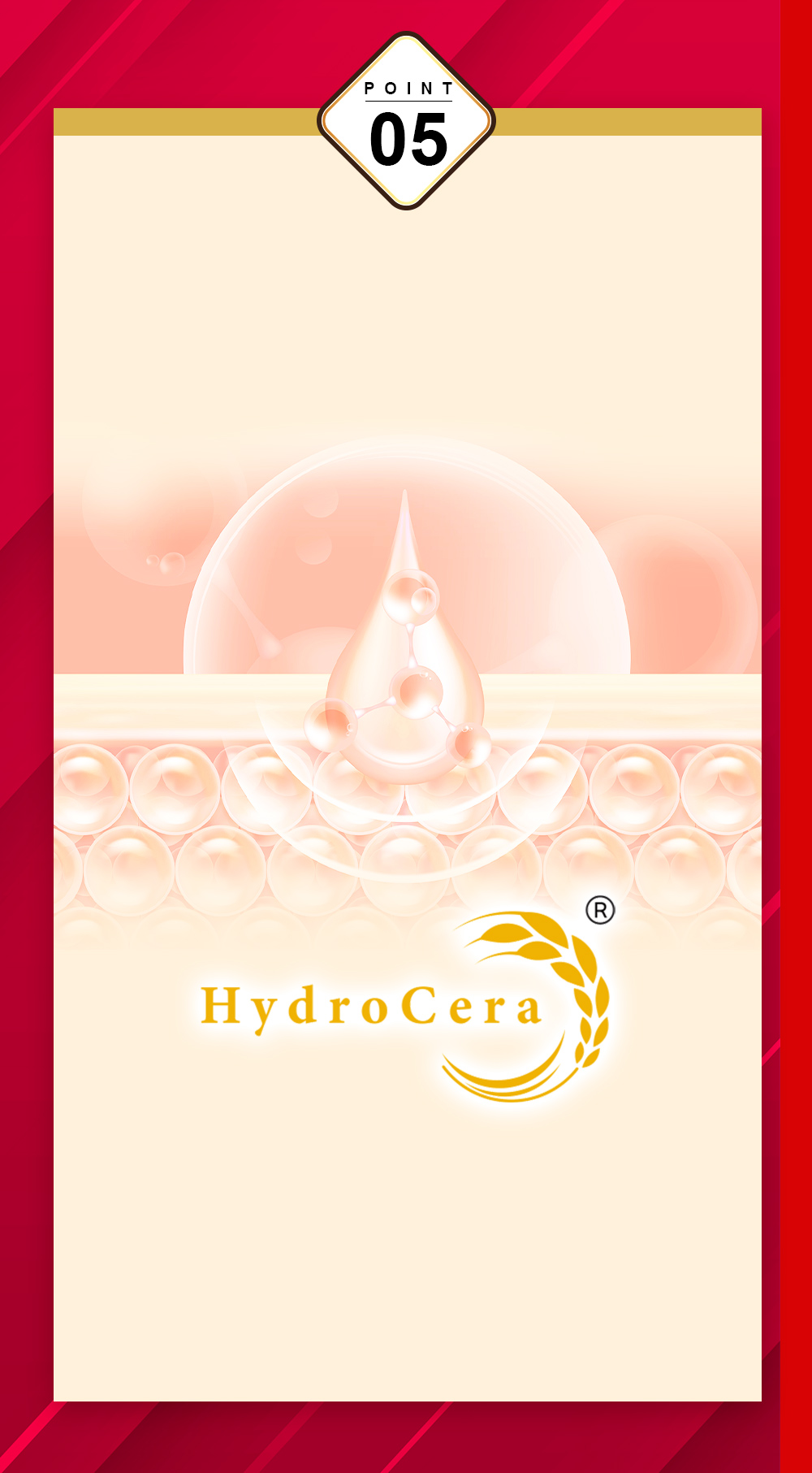 黑棗補鐵精華飲