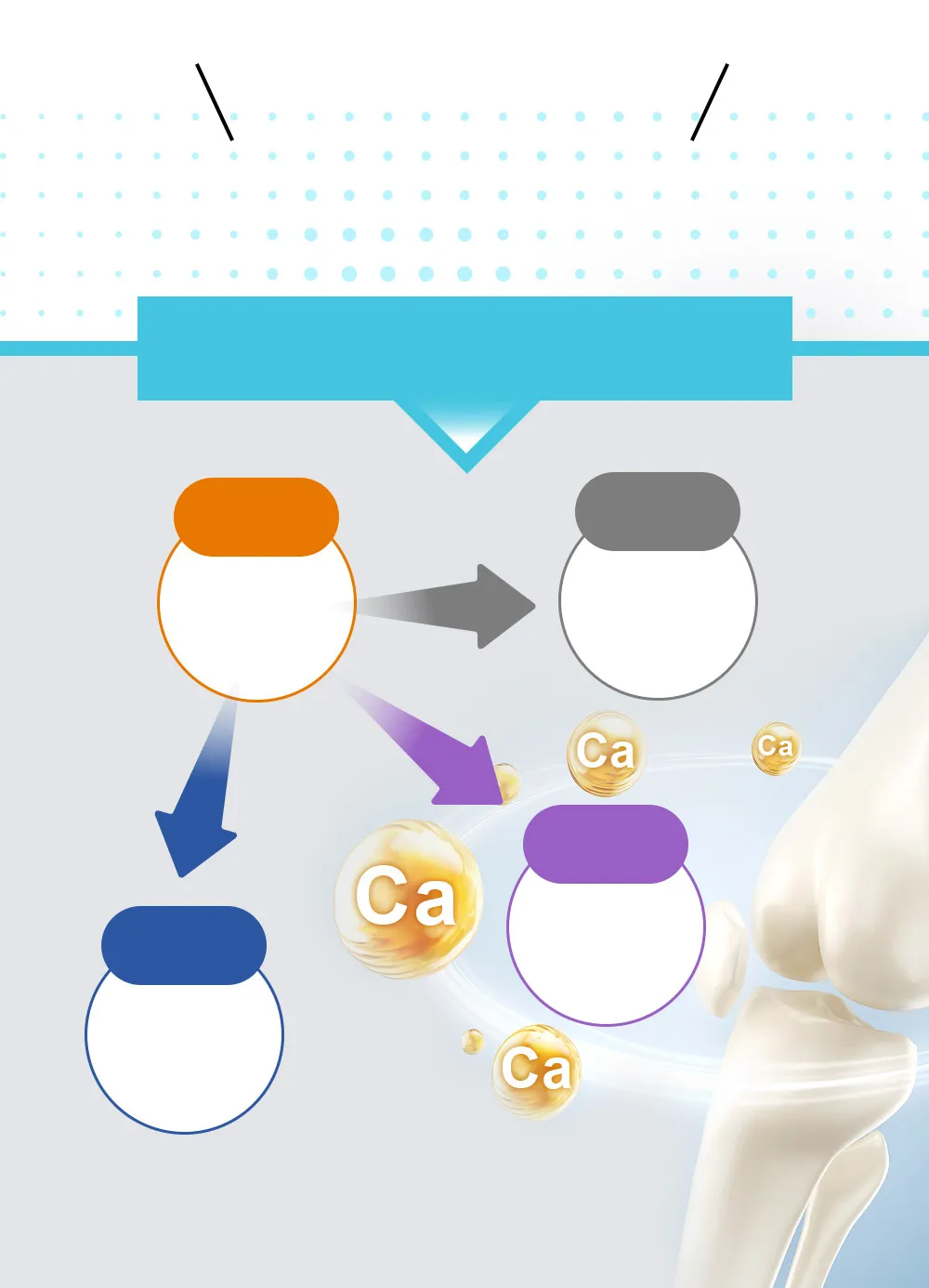 4大完整補鈣配方