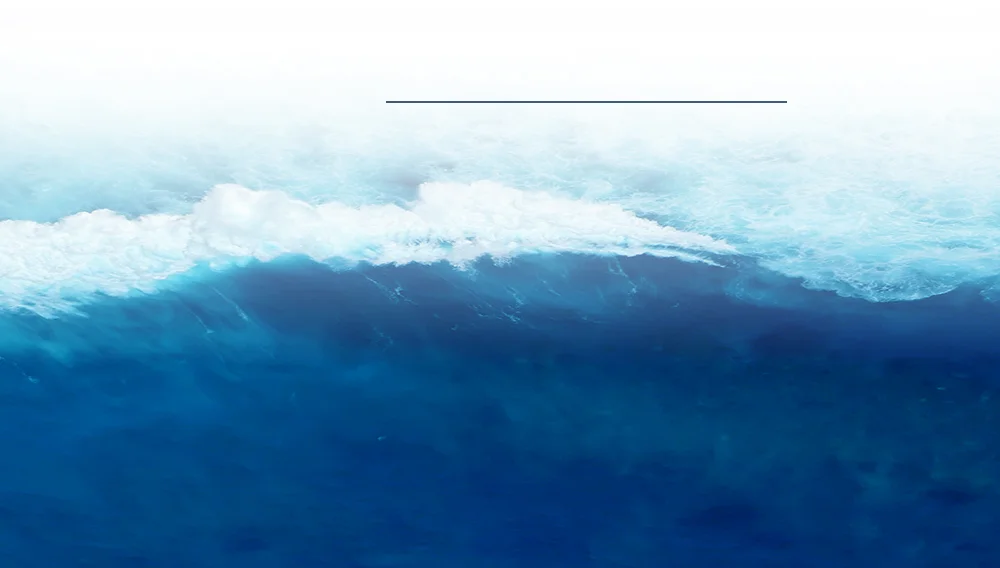 無額外添加，純凈配方