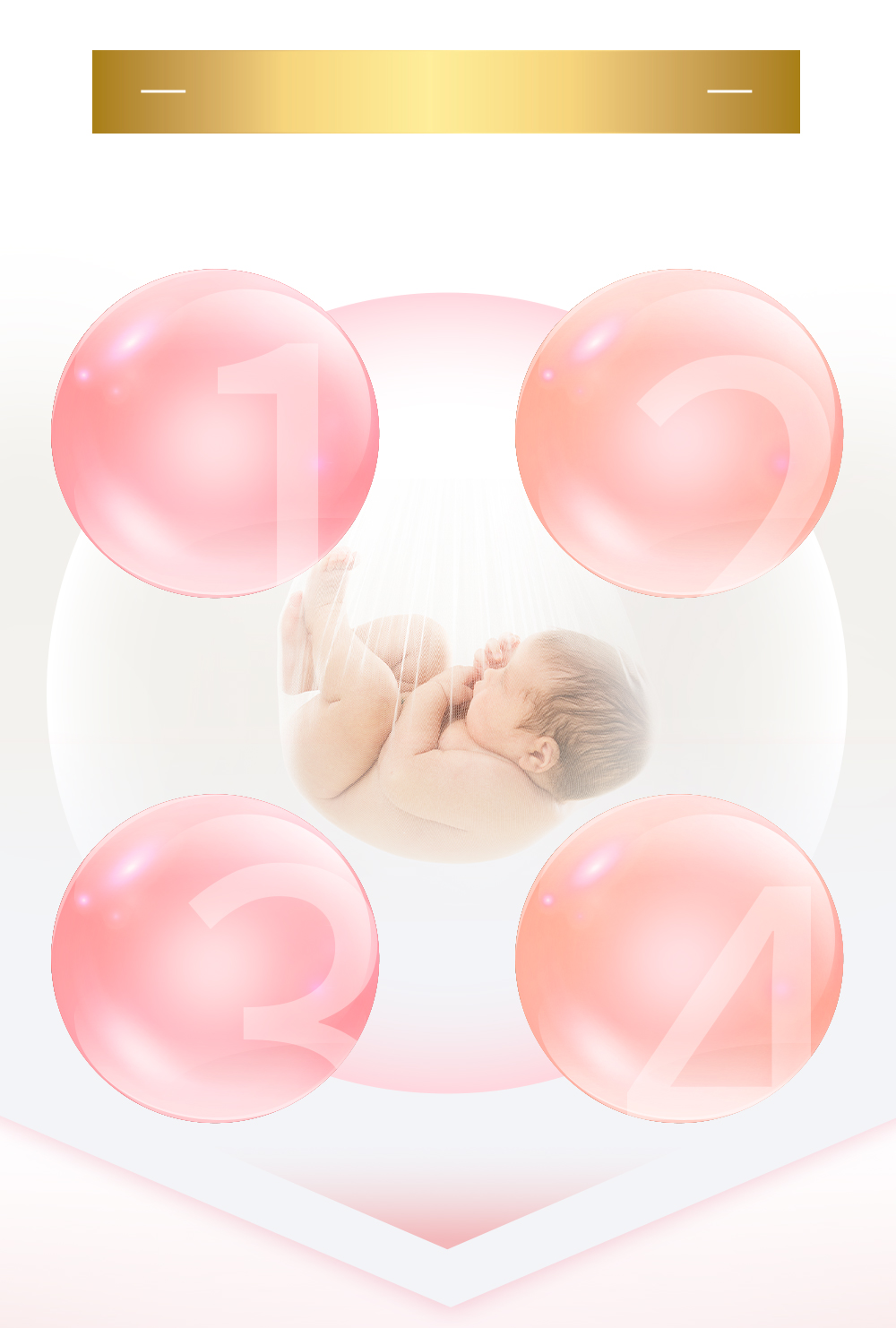 孕期營養 All in One