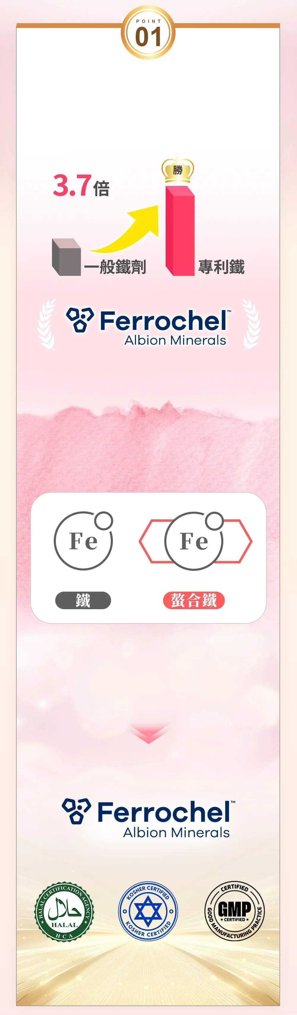 美國專利甘氨酸亞鐵