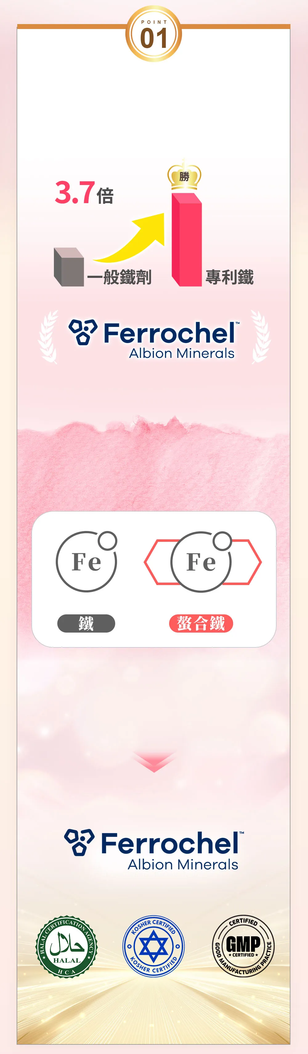 美國專利甘氨酸亞鐵