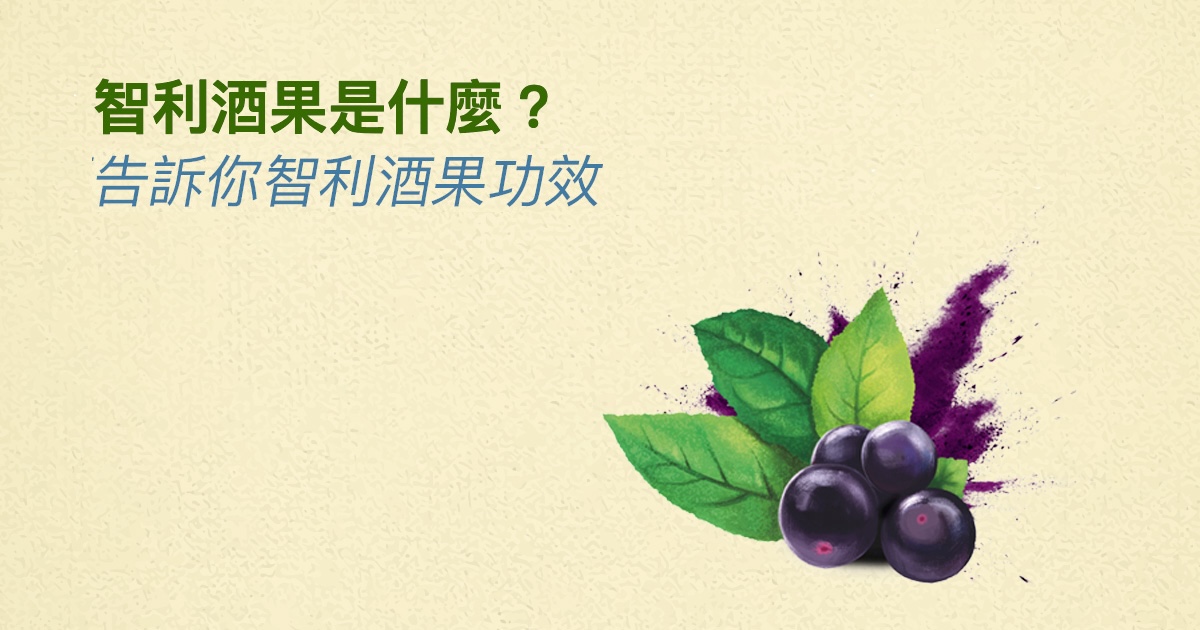 智利酒果是什麼？營養師告訴你智利酒果功效有什麼