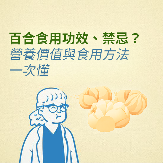 百合食用功效、禁忌有哪些？營養價值與食用方法一次懂