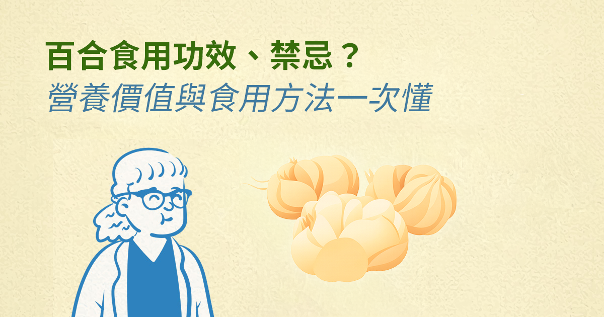 百合食用功效、禁忌有哪些?營養價值與食用方法一次懂