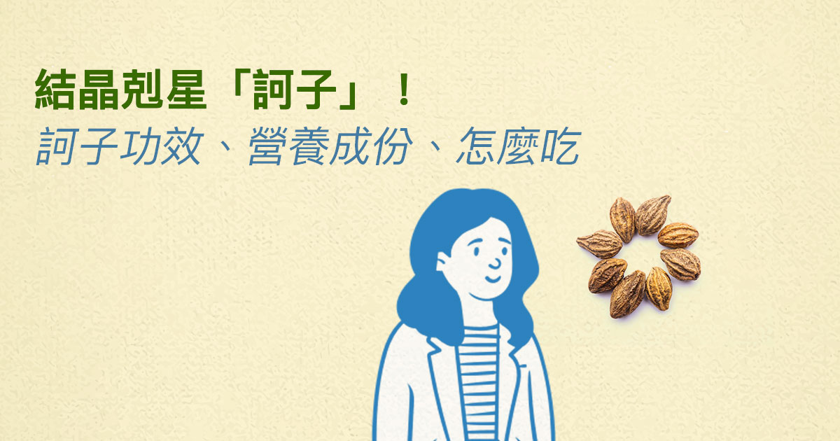 結晶剋星「訶子」!訶子功效、營養成份、怎麼吃一文看懂