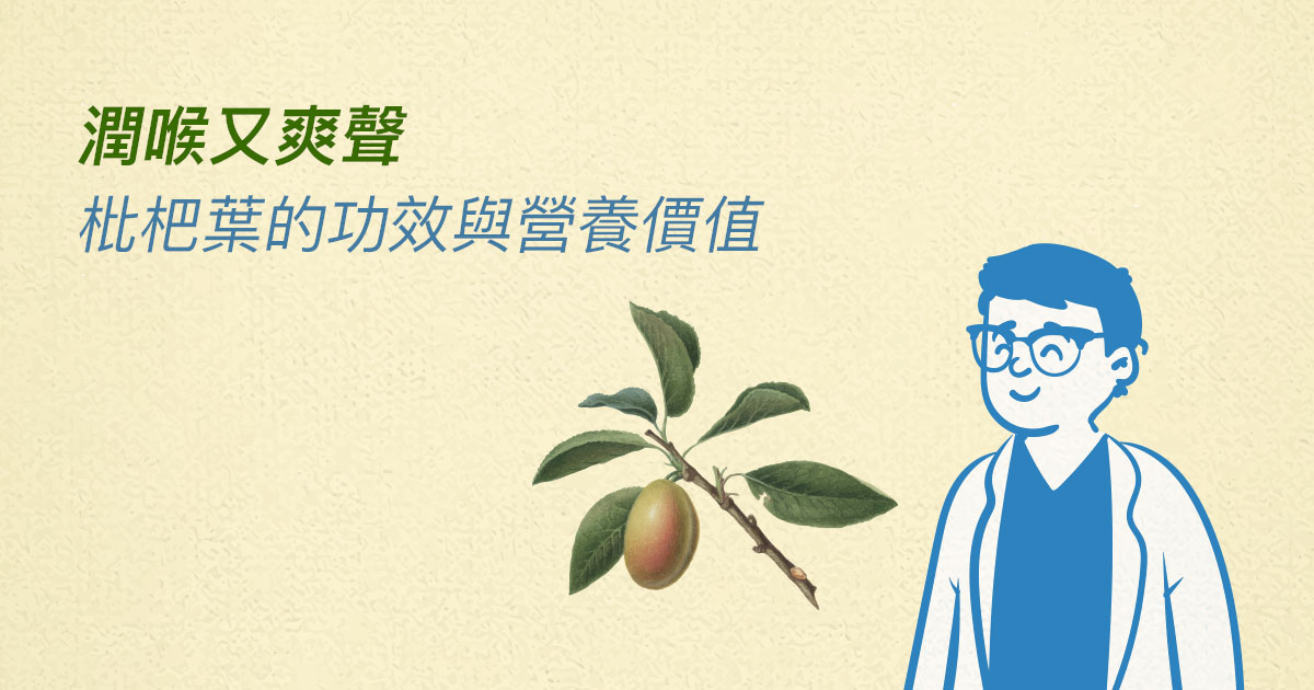 潤喉爽聲的枇杷功效有些?認識枇杷的營養價值